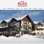 Realizare site Hotel Ruia