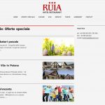 Realizare site Hotel Ruia